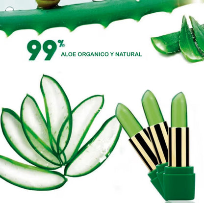 BÁLSAMO LABIAL ALOE VERA